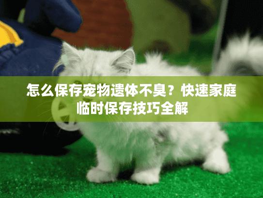 怎么保存宠物遗体不臭?快速家庭临时保存技巧全解 怎么保存宠物遗体不臭?快速家庭临时保存技巧全解