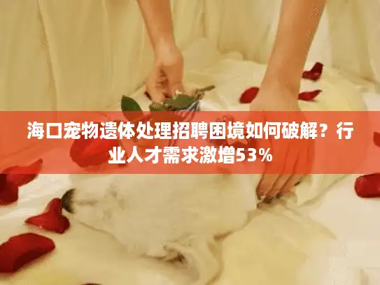海口宠物遗体处理招聘困境如何破解？行业人才需求激增53%