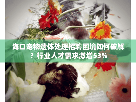 海口宠物遗体处理招聘困境如何破解？行业人才需求激增53%