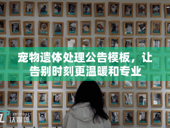 宠物遗体处理公告模板，让告别时刻更温暖和专业
