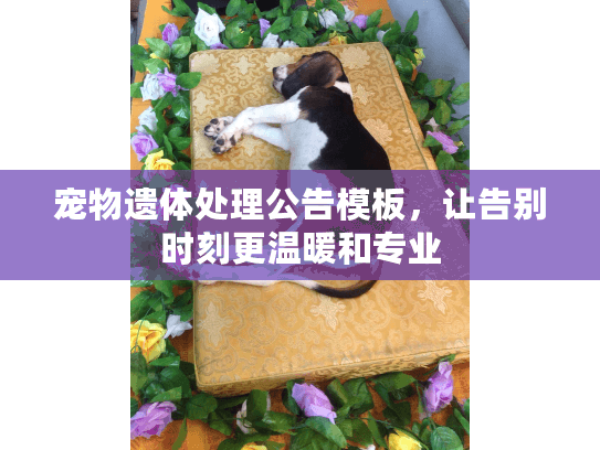 宠物遗体处理公告模板，让告别时刻更温暖和专业