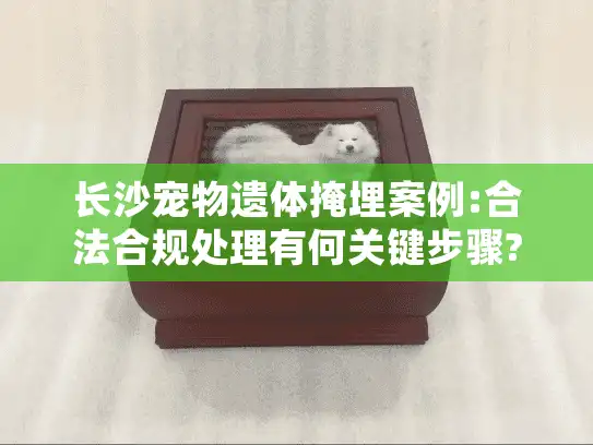 长沙宠物遗体掩埋案例:合法合规处理有何关键步骤?