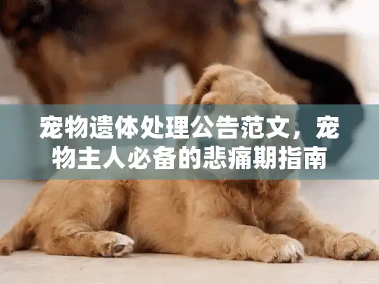 宠物遗体处理公告范文，宠物主人必备的悲痛期指南