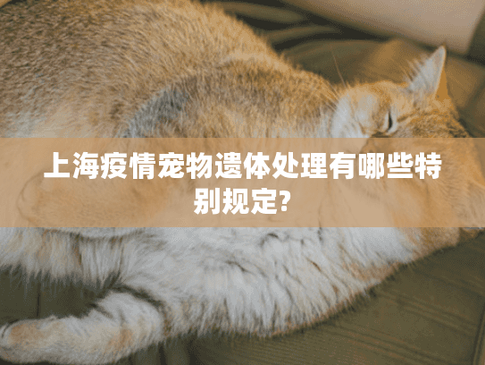 上海疫情宠物遗体处理有哪些特别规定?