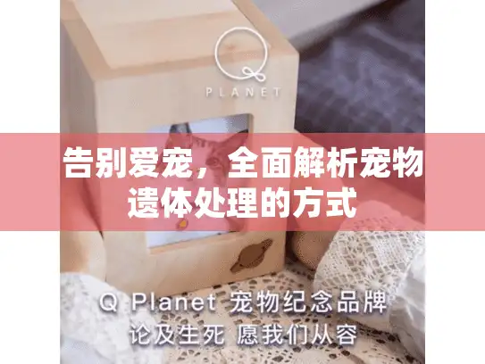 告别爱宠，全面解析宠物遗体处理的方式