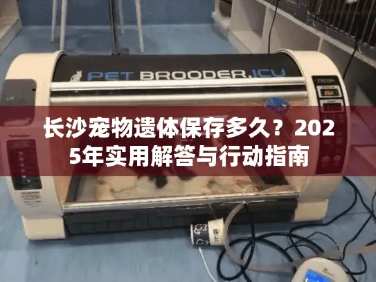 长沙宠物遗体保存多久？2025年实用解答与行动指南