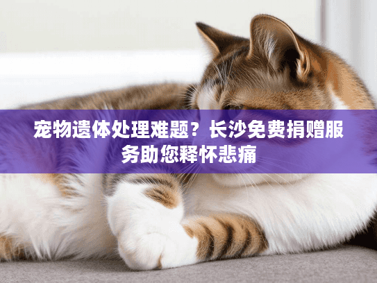 宠物遗体处理难题？长沙免费捐赠服务助您释怀悲痛