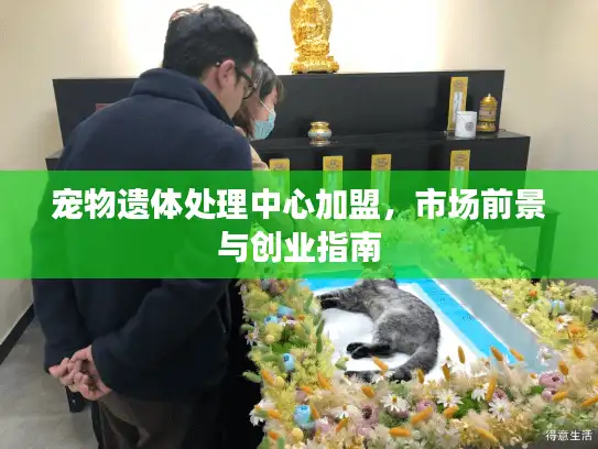 宠物遗体处理中心加盟,市场前景与创业指南 宠物遗体处理中心加盟,市场前景与创业指南