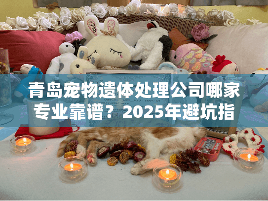 青岛宠物遗体处理公司哪家专业靠谱？2025年避坑指南