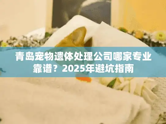 青岛宠物遗体处理公司哪家专业靠谱？2025年避坑指南