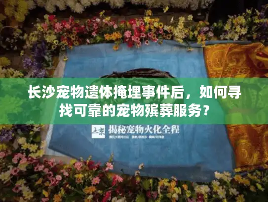 长沙宠物遗体掩埋事件后，如何寻找可靠的宠物殡葬服务？