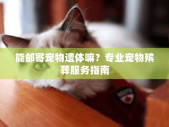 能邮寄宠物遗体嘛?专业宠物殡葬服务指南 能邮寄宠物遗体嘛?专业宠物殡葬服务指南