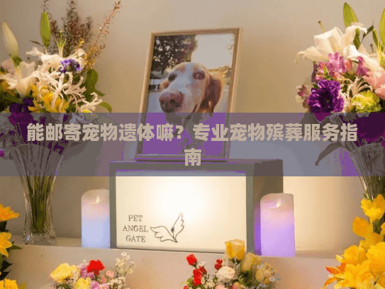 能邮寄宠物遗体嘛?专业宠物殡葬服务指南 能邮寄宠物遗体嘛?专业宠物殡葬服务指南