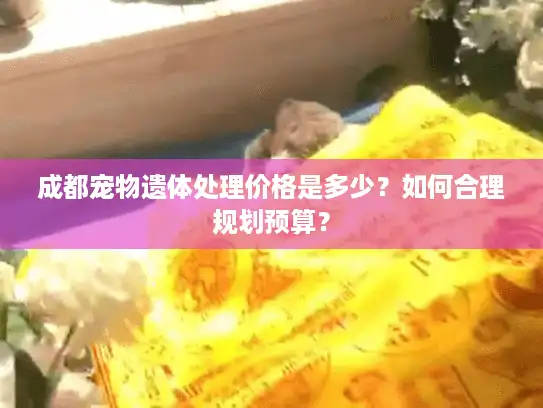 成都宠物遗体处理价格是多少?如何合理规划预算? 成都宠物遗体处理价格是多少?如何合理规划预算?