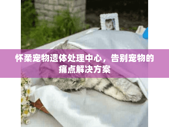 怀柔宠物遗体处理中心，告别宠物的痛点解决方案