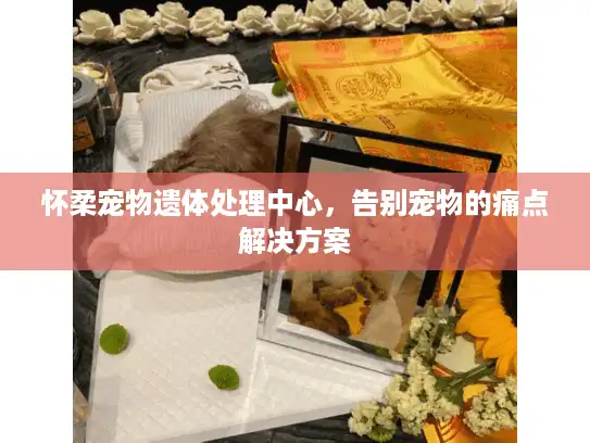 怀柔宠物遗体处理中心，告别宠物的痛点解决方案