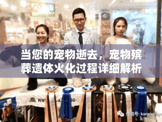 当您的宠物逝去，宠物殡葬遗体火化过程详细解析