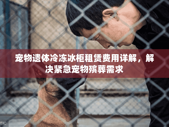 宠物遗体冷冻冰柜租赁费用详解,解决紧急宠物殡葬需求 宠物遗体冷冻冰柜租赁费用详解,解决紧急宠物殡葬需求