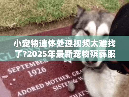 小宠物遗体处理视频太难找了?2025年最新宠物殡葬服务全解析 小宠物遗体处理视频太难找了?2025年最新宠物殡葬服务全解析