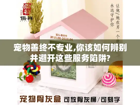 宠物善终不专业,你该如何辨别并避开这些服务陷阱? 宠物善终不专业,你该如何辨别并避开这些服务陷阱?