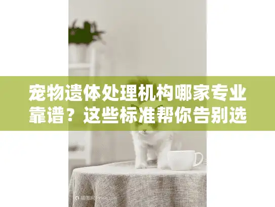 宠物遗体处理机构哪家专业靠谱?这些标准帮你告别选择困难 宠物遗体处理机构哪家专业靠谱?这些标准帮你告别选择困难