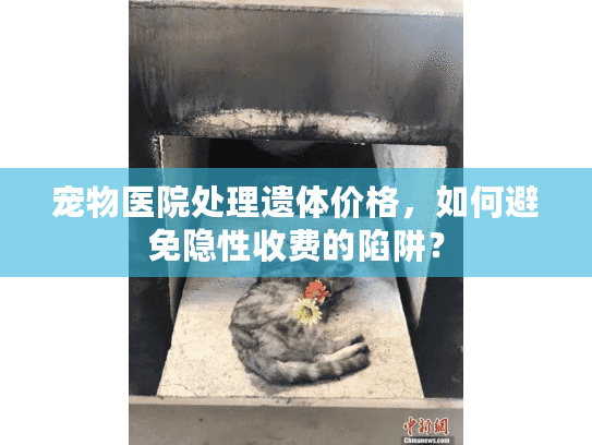 宠物医院处理遗体价格，如何避免隐性收费的陷阱？