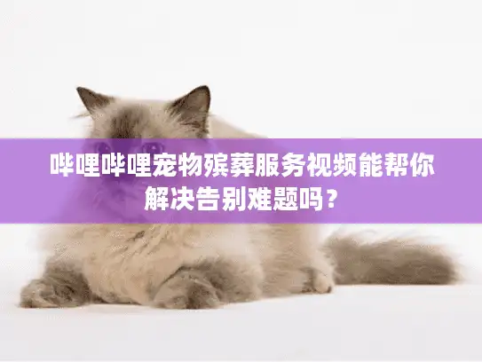 哔哩哔哩宠物殡葬服务视频能帮你解决告别难题吗？