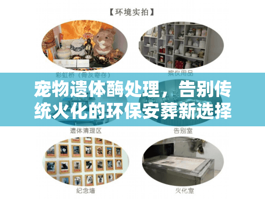 宠物遗体酶处理，告别传统火化的环保安葬新选择