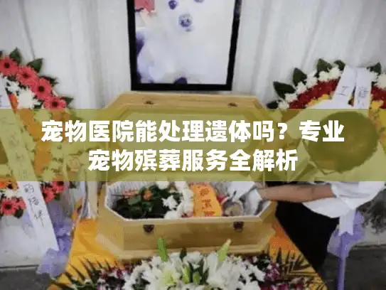 宠物医院能处理遗体吗？专业宠物殡葬服务全解析