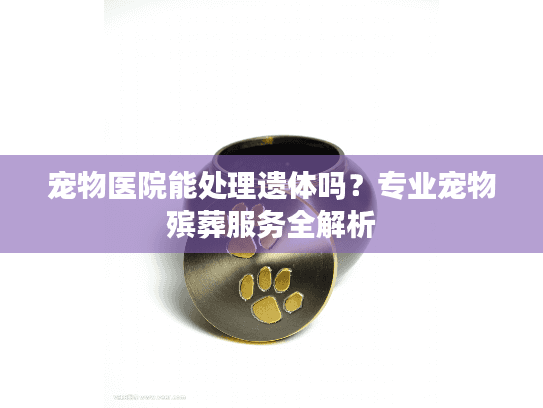 宠物医院能处理遗体吗？专业宠物殡葬服务全解析