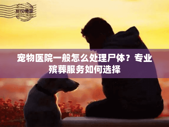 宠物医院一般怎么处理尸体？专业殡葬服务如何选择