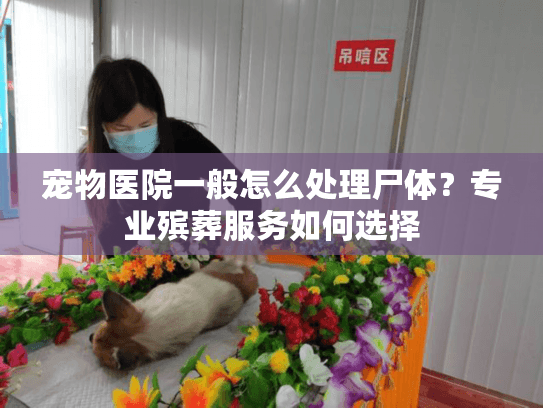 宠物医院一般怎么处理尸体？专业殡葬服务如何选择
