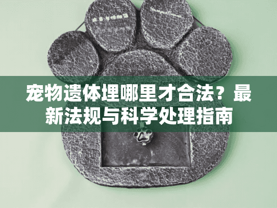宠物遗体埋哪里才合法？最新法规与科学处理指南