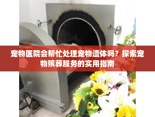 宠物医院会帮忙处理宠物遗体吗？探索宠物殡葬服务的实用指南