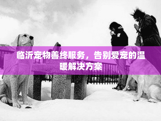 临沂宠物善终服务，告别爱宠的温暖解决方案