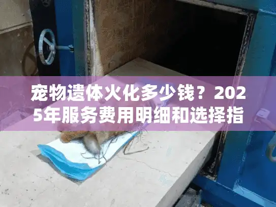 宠物遗体火化多少钱？2025年服务费用明细和选择指南