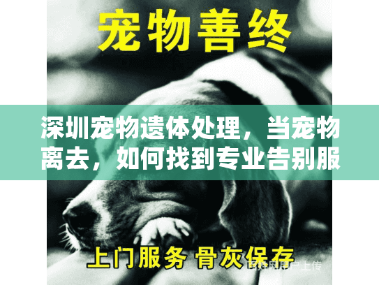 深圳宠物遗体处理，当宠物离去，如何找到专业告别服务？
