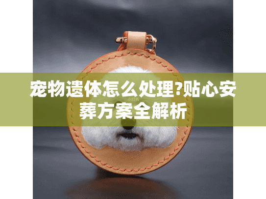 宠物遗体怎么处理?贴心安葬方案全解析