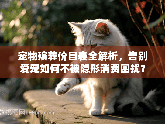 宠物殡葬价目表全解析，告别爱宠如何不被隐形消费困扰？