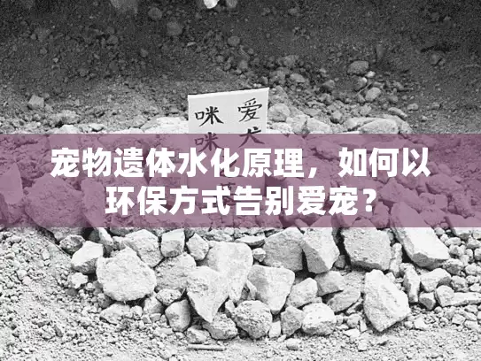 宠物遗体水化原理，如何以环保方式告别爱宠？