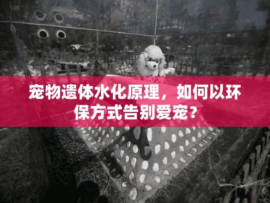 宠物遗体水化原理，如何以环保方式告别爱宠？