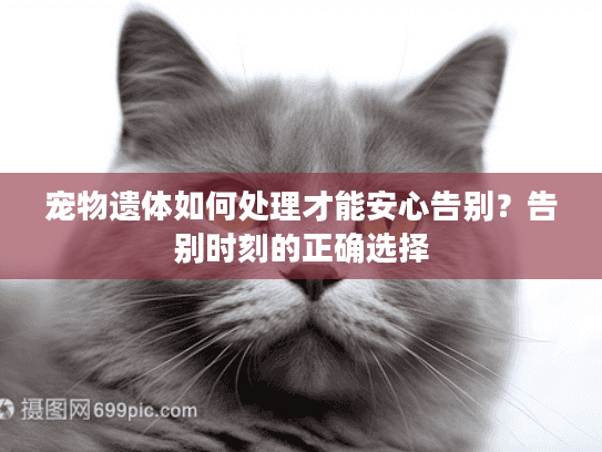 宠物遗体如何处理才能安心告别？告别时刻的正确选择