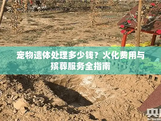 宠物遗体处理多少钱？火化费用与殡葬服务全指南