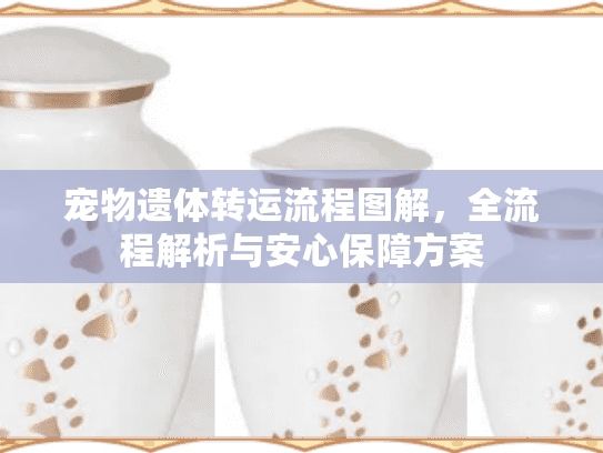 宠物遗体转运流程图解，全流程解析与安心保障方案