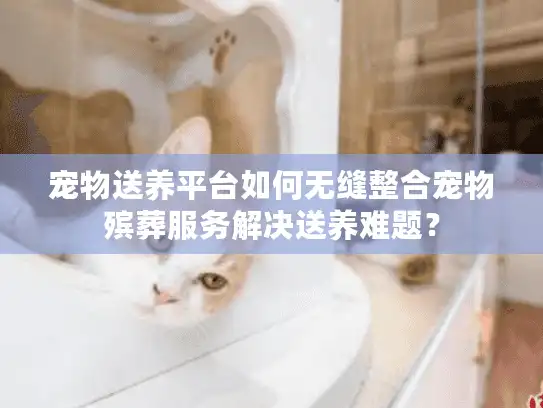 宠物送养平台如何无缝整合宠物殡葬服务解决送养难题？