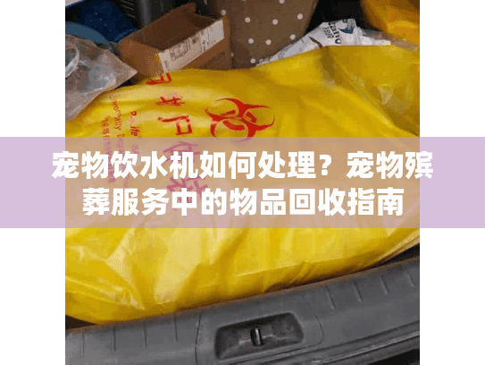 宠物饮水机如何处理？宠物殡葬服务中的物品回收指南