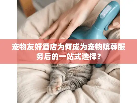 宠物友好酒店为何成为宠物殡葬服务后的一站式选择？