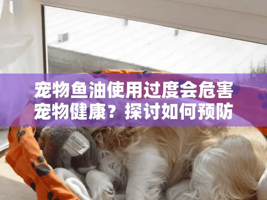 宠物鱼油使用过度会危害宠物健康？探讨如何预防和准备宠物殡葬服务