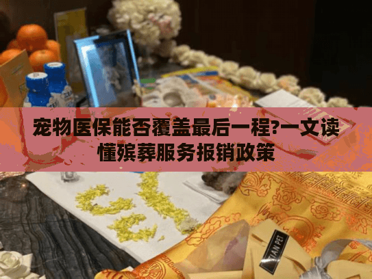 宠物医保能否覆盖最后一程?一文读懂殡葬服务报销政策