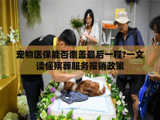 宠物医保能否覆盖最后一程?一文读懂殡葬服务报销政策